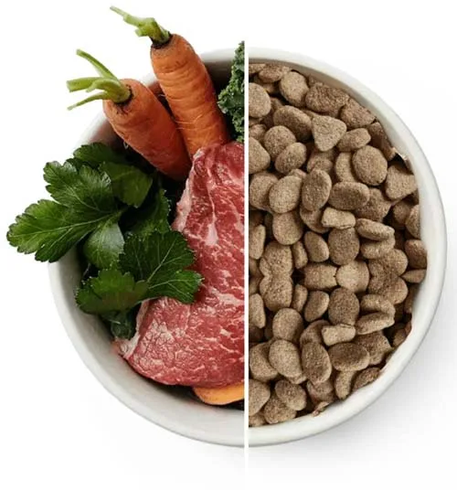 Whats The Difference