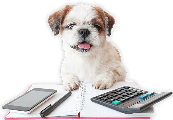 Dog Food Calculator Min Min