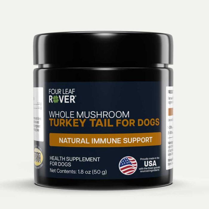 Turkey Tail Frontfacing 2500x2500