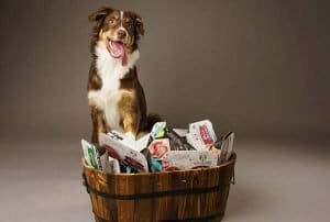 How Much To Feed Your Dog Barkin Bistro