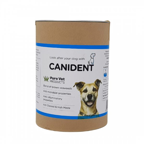 Dr.conor Brady (canident)