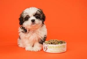 Raw Feeding Your Puppy