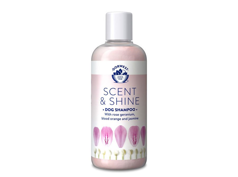Scent And Shine