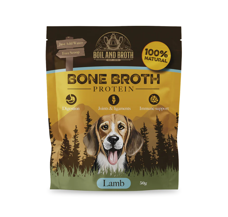 Lambdogillustrationpouchmockup2024copy