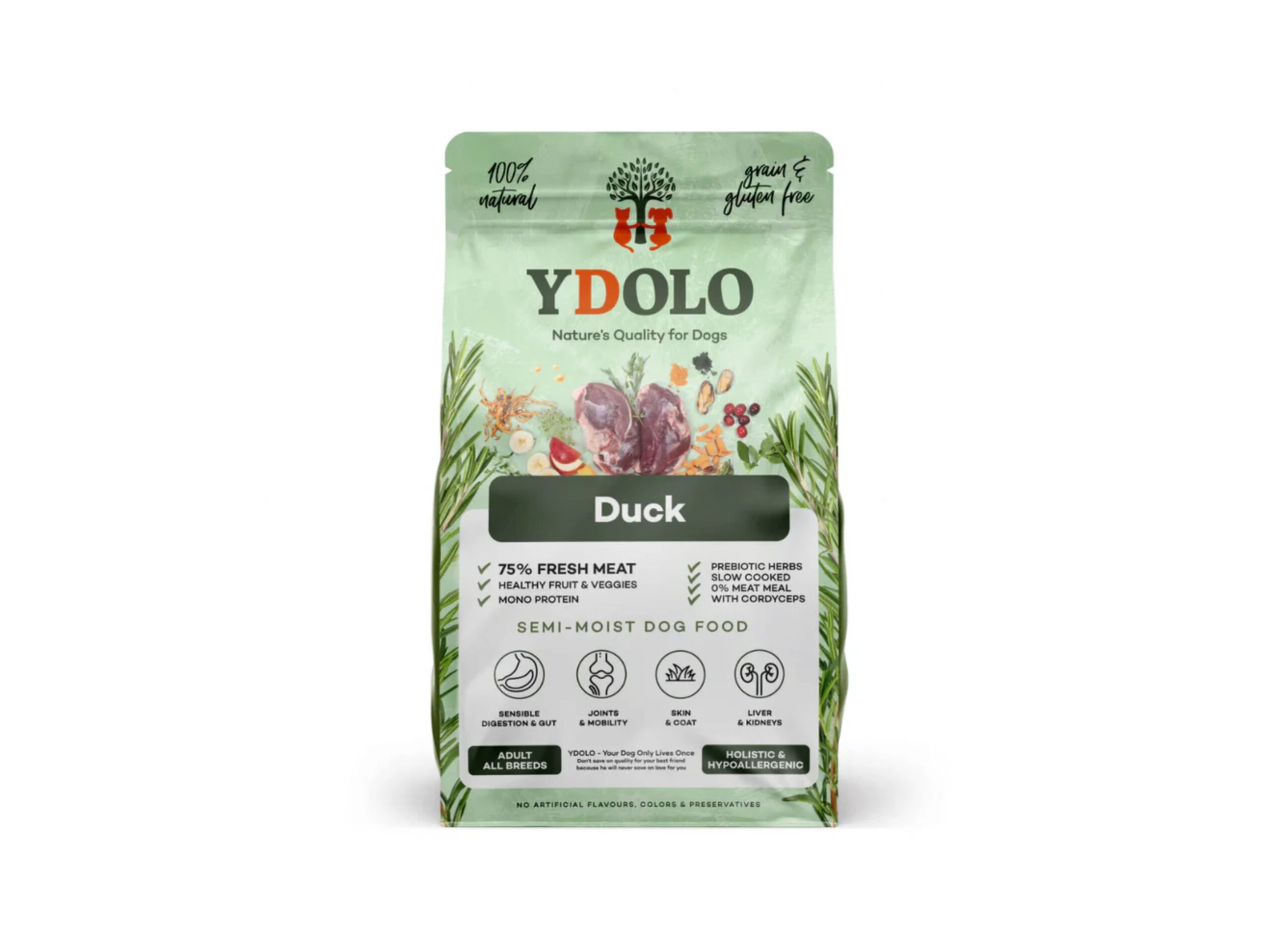 Web Banner Visual (2).pdf 2026 09 08t150835.121