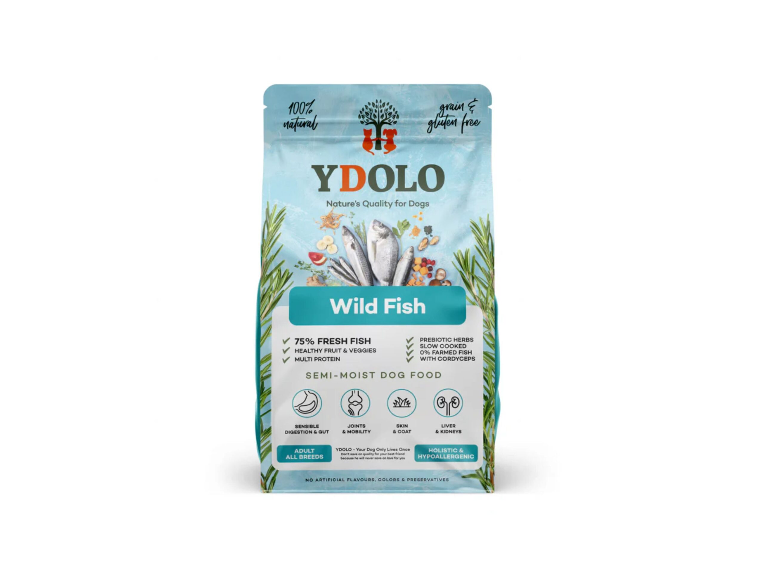 Web Banner Visual (2).pdf 2026 09 08t151045.850