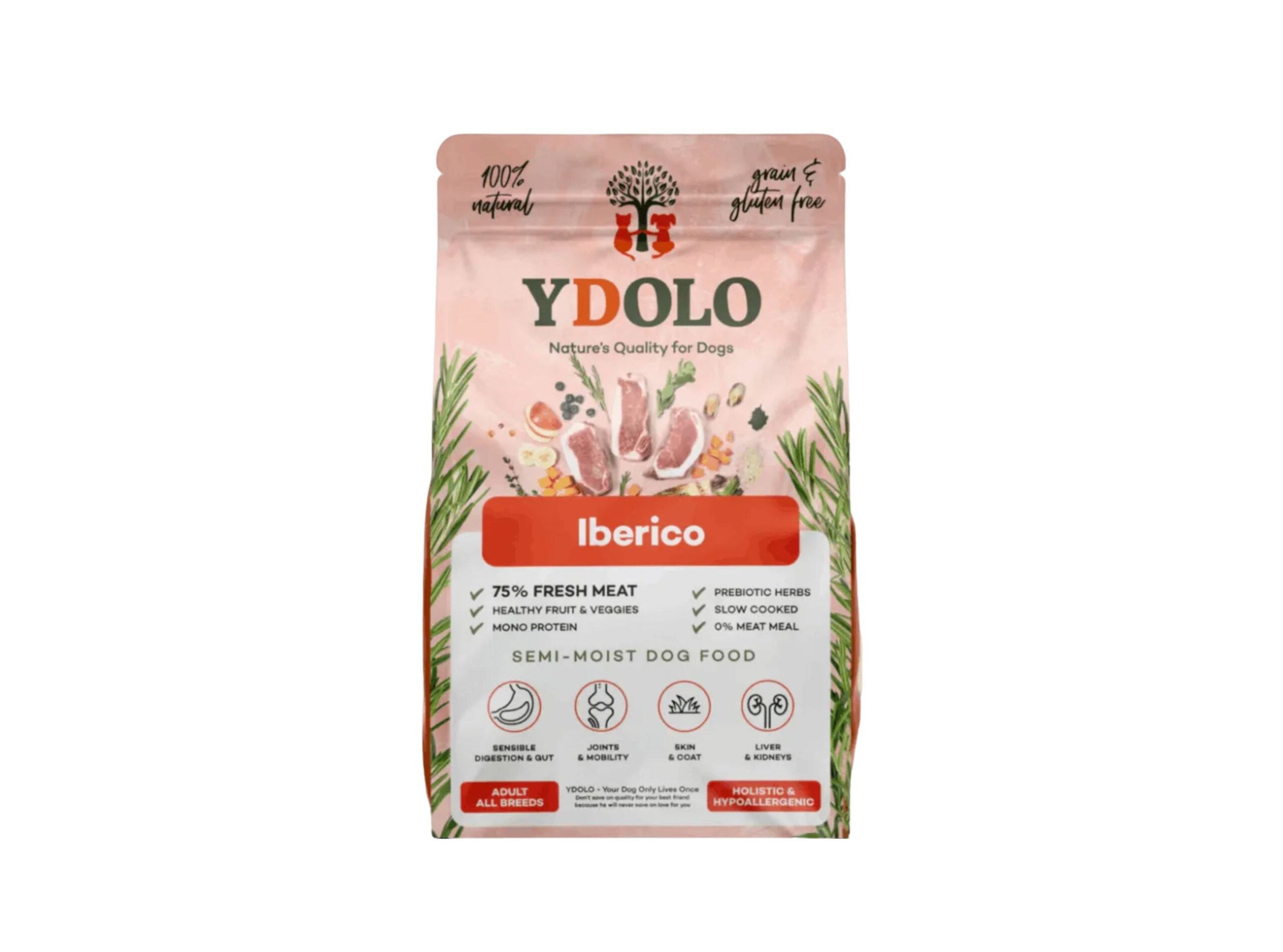 Web Banner Visual (2).pdf 2026 09 08t151231.283