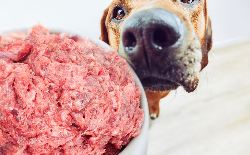Raw Dog Food