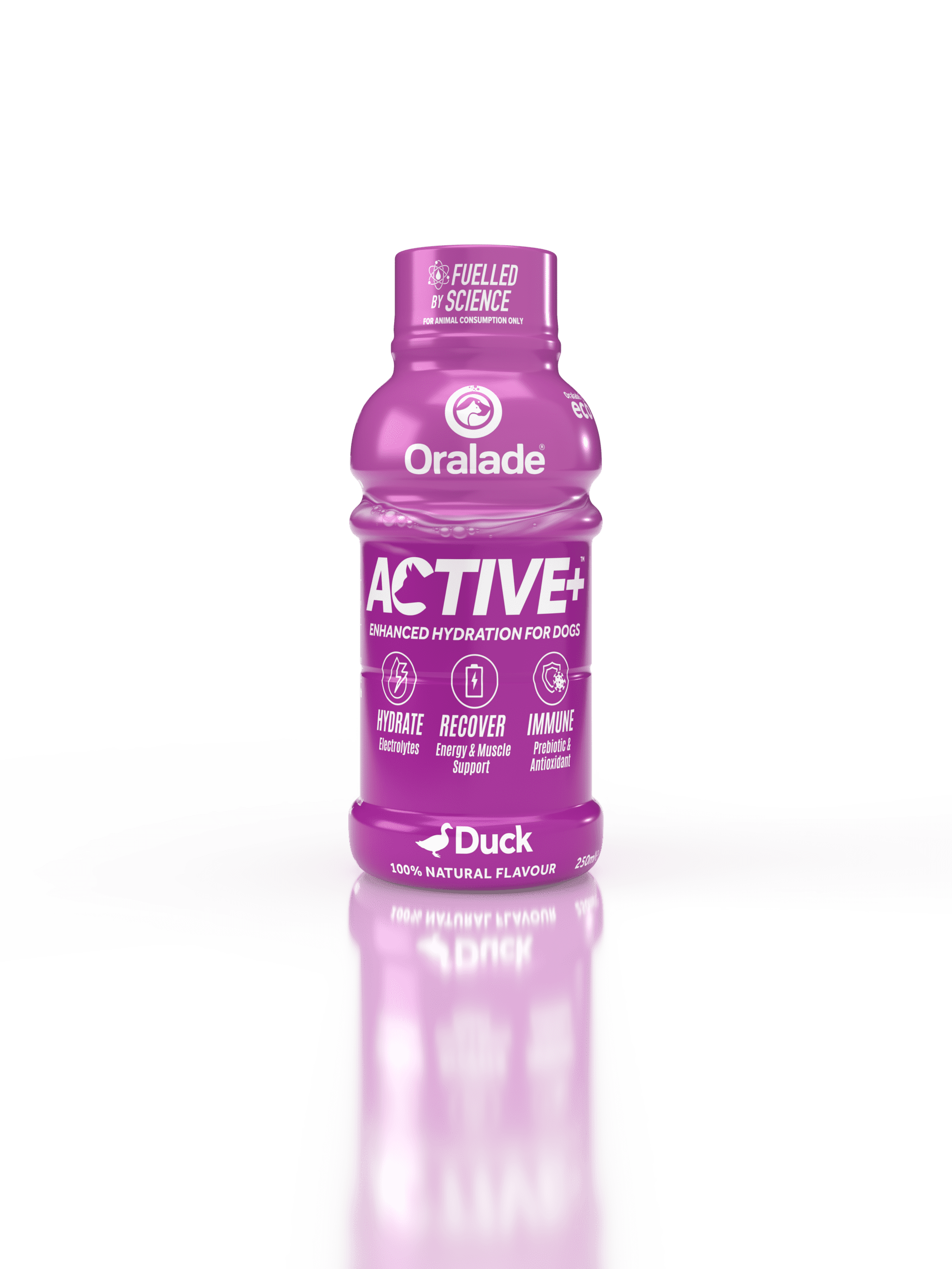 Active Duck Bottle Front