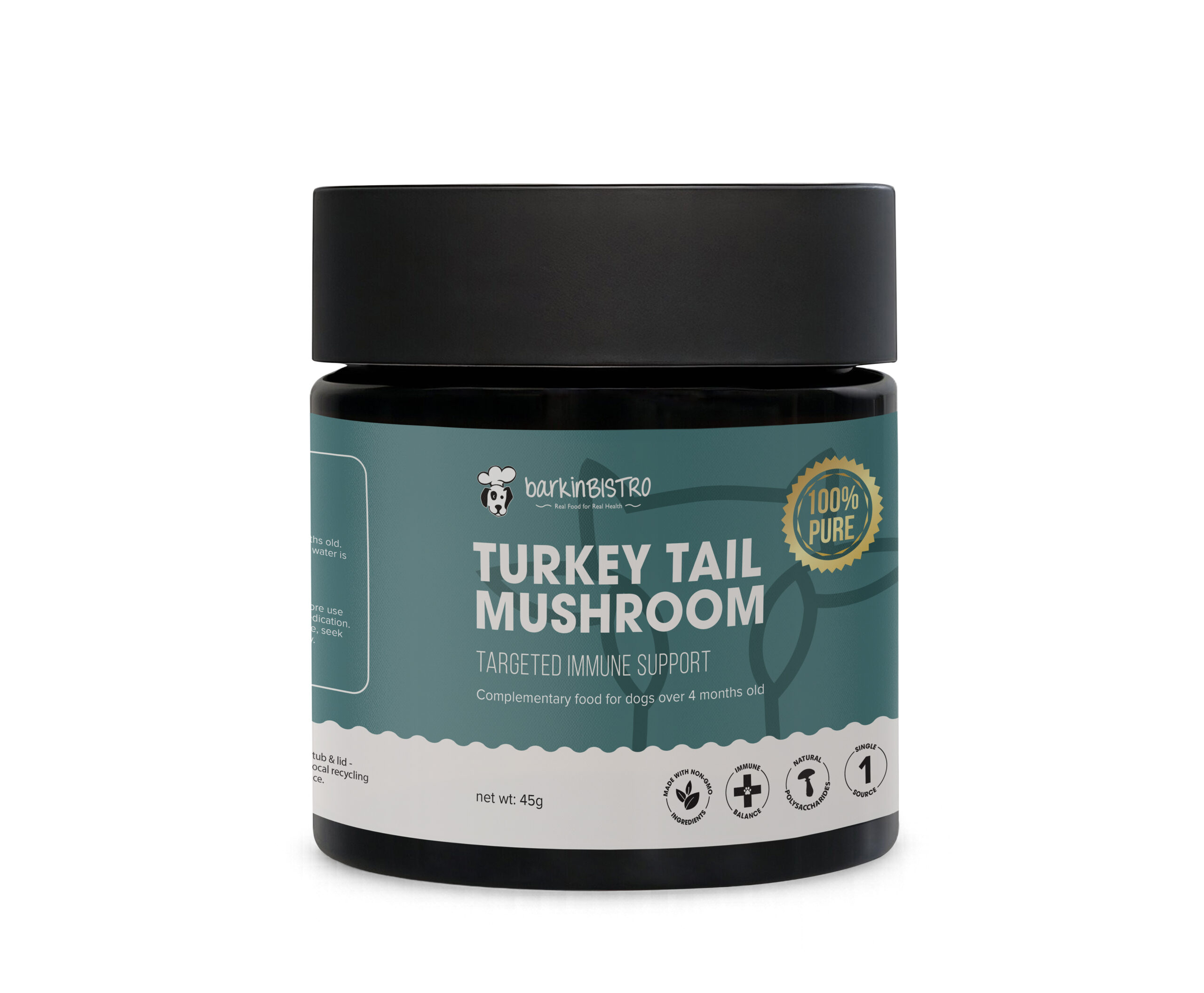 Turkey Tail Mushroom