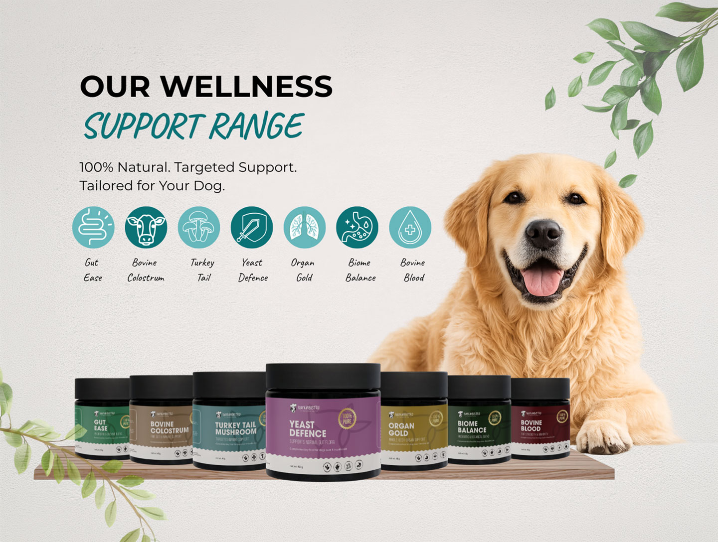 Wellness Support Range