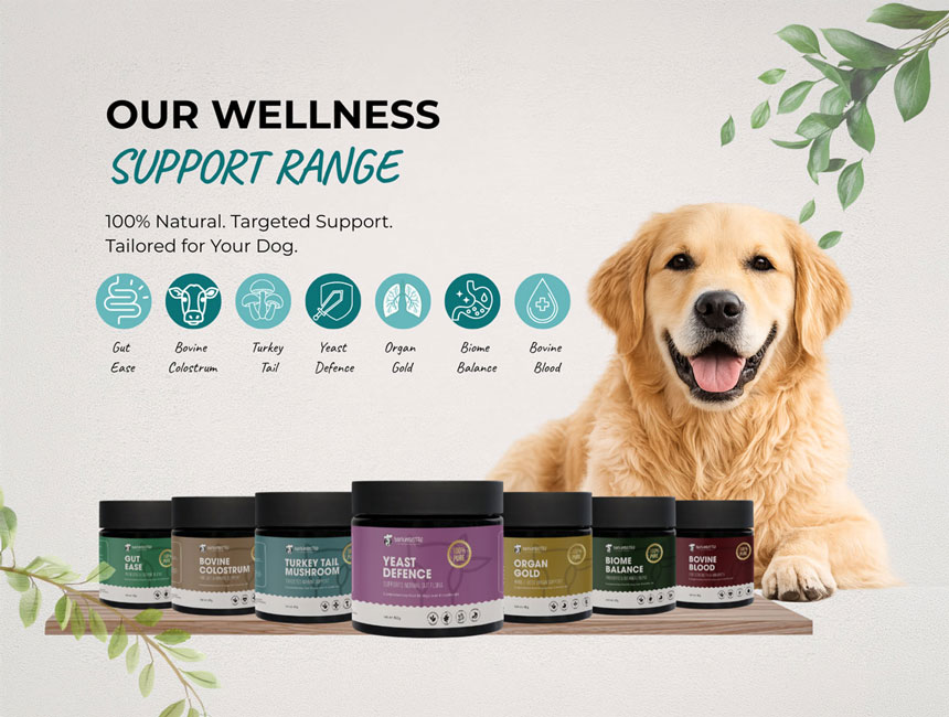 Wellness Support Range