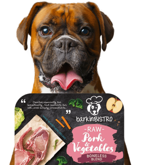 Jessie Face Of Barkin Bistro 1 Min