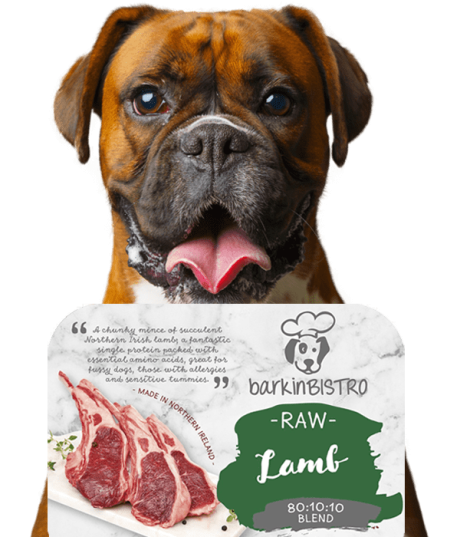 Jessie Face Of Barkin Bistro 2 Min