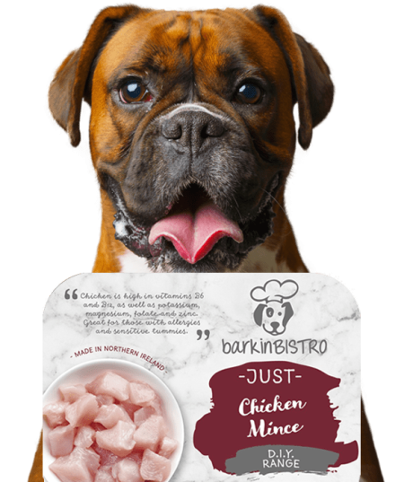 Jessie Face Of Barkin Bistro 4 Min