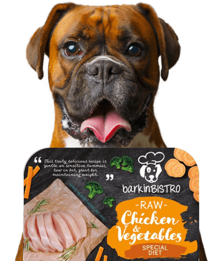 Jessie Face Of Barkin Bistro 5 Min