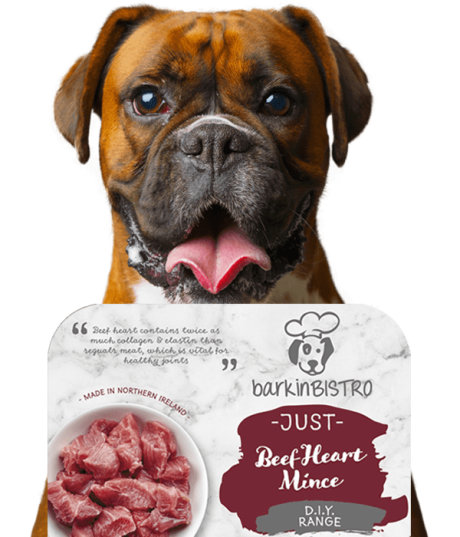 Jessie Face Of Barkin Bistro 6 Min