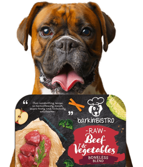 Jessie Face Of Barkin Bistro 7 Min