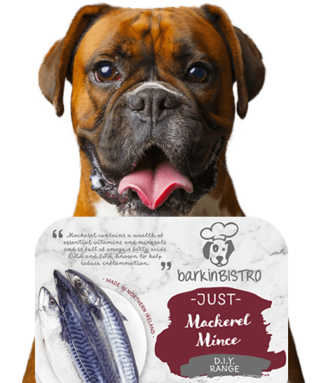 Jessie Face Of Barkin Bistro 9 Min